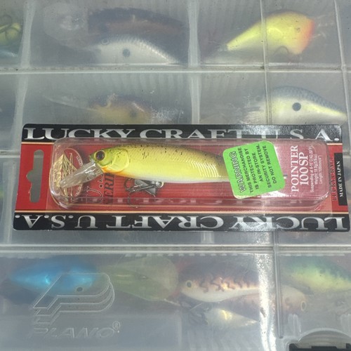 Lucky craft pointer - lucky, in